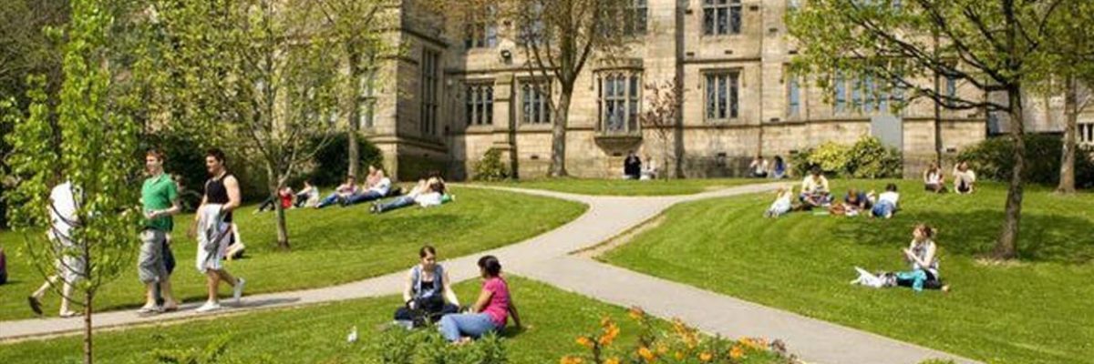 Health and Social Care Open Day