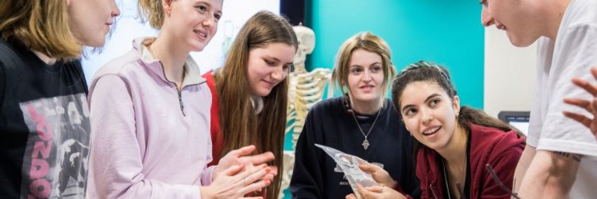 The University of Sheffield Taster Sessions