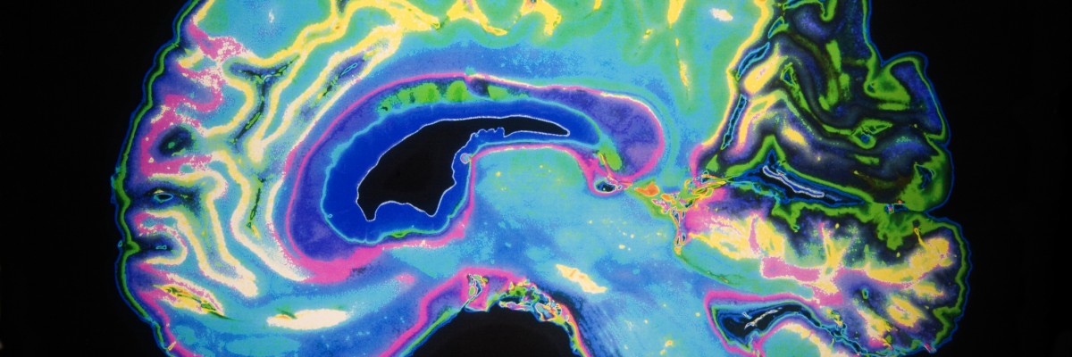 Hack Your Brain: Using Science to Improve our Quality of Life