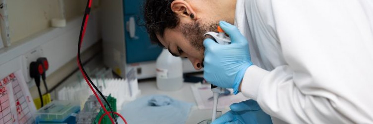 University of Sheffield Taster – Biosciences: The Biology of Ageing