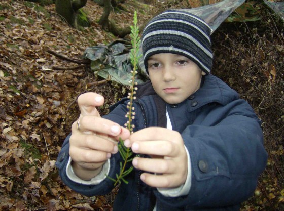 Boy on a CU trip examining a plant